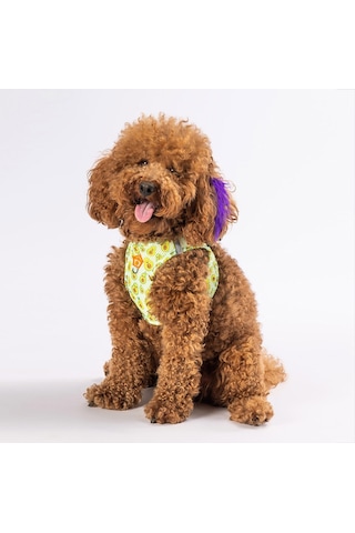 Pawstar Avocado Air-mesh Göğüs Tasması Kedi Köpek Göğüs Tasması Xlarge Sarı