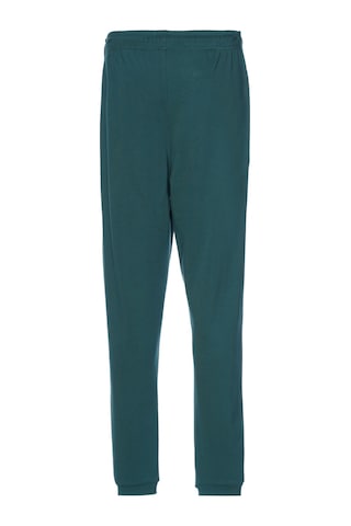 Hummel T-ıc Ico Eşofman Altı 931893-9815 Yeşil