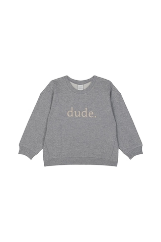 Antebies Organik, Gri Melanj Dude Aplik,bel Lastikli Bağcıklı Uzun Kollu Erkek Çocuk Sweatshirt Eşofman Takımı