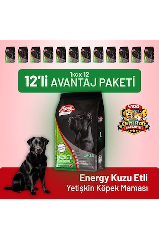 Kuzu Etli Yetişkin Köpek Maması - 12 Adet