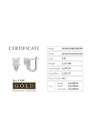 Beyaz Altın Sertifikalı Premium Created Ascher Kesim Taşlı Küpe