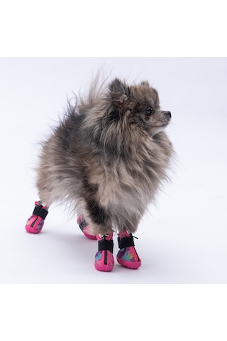 Pawstar Rosea Camouflage Köpek Ayakkabısı