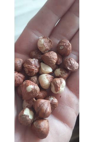 Naturel İç Fındık--250gr