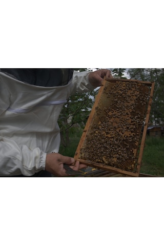 Erbal Poliflora Petekli Bal 800 G