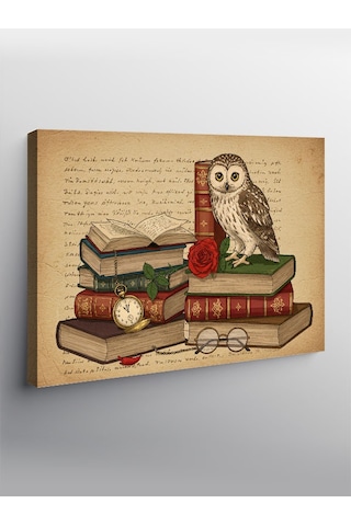 Kanvas Tablo Kitap Ve Bilgelik Baykuşu