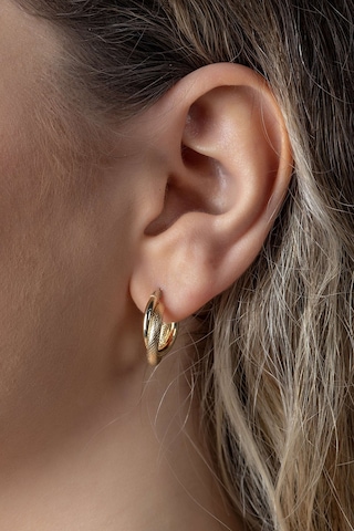 Moom Mücevherat Kadın 14 Ayar Altın İtalyan Halka Küpe N11.15550