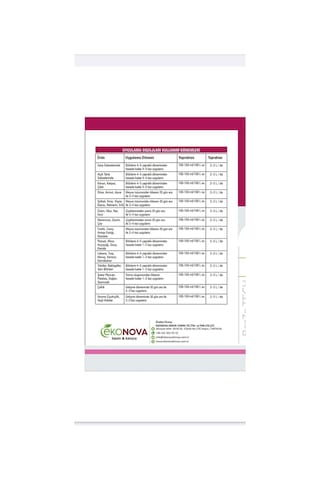 Bor Zinc Sıvı Bor Ve Çinko Karışımı 20 Lt 20 LT