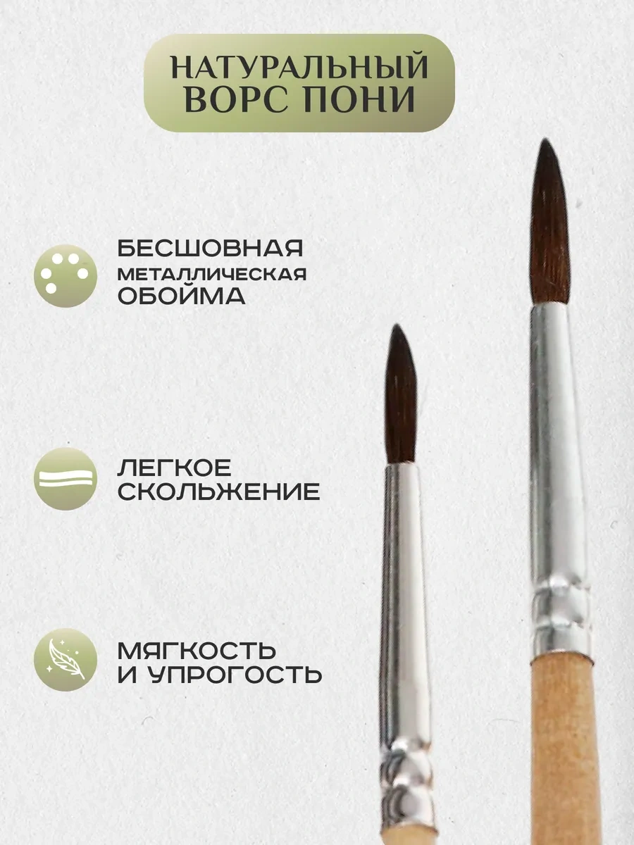 Calligrata Pony Fırça Seti 12 Ad 12714553