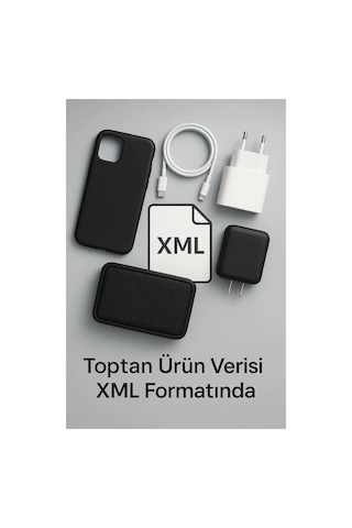Online Çıktı Hizmeti/xml 1 Yıllık