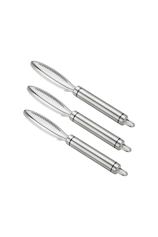 Paslanmaz Çelik Tırtıklı Kolay Çıkarılabilir Balık Pulları Temizleme Fırçası Gümüş