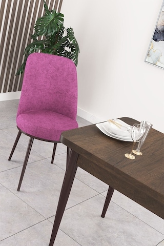 Canisa Concept Nil Serisi 70x110 Sabit Mutfak Masası Takımı Barok Desen Masa 4 Mor Sandalye Mor