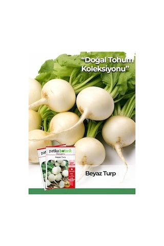 500 Adet Beyaz Turp Tohumu