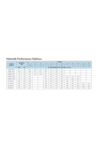 Lowara Ca 200/33/N/D Çift Kademeli Santrifüj Pompa N Versiyon