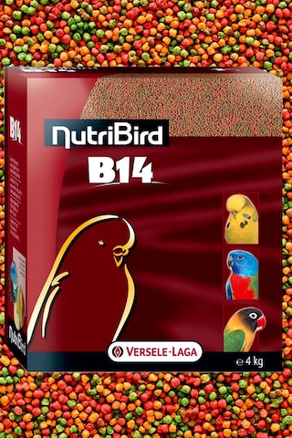 Nutribird B14 Muhabbet Kuşları Meyveli Pelet Yem 1 Kg Kutudan Bölünme