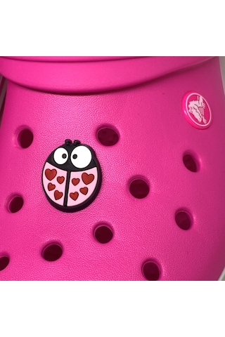 Crocs Terlik Süsü & Renkli Aksesuar Jibbitz (475023817)