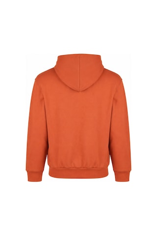 Peach Fıt Kadın Sweatshırt 505643355-baked-hde Kahverengi