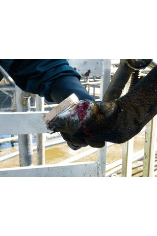 Sığır Tırnak Takozu Ahşap Blok