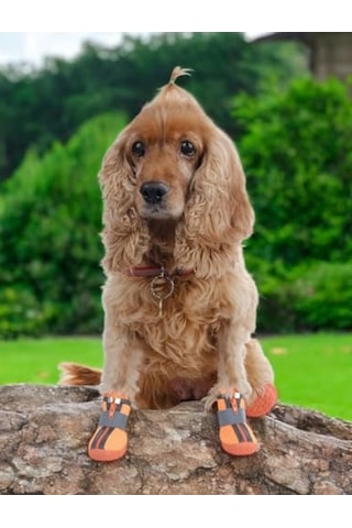 Akınalbella Kaydırmaz Kauçuk Tabanlı Reflektörlü Köpek Ayakkabısı, Turuncu, 5 Numara Antrasit