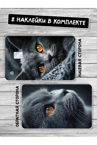 Stadi Kedi Kartı İçin Bant Kedi Şalı Şeklinde Yapışkanlı Etiket Veya Kedi Baskılı Yapışkanlı Kart Kılıfı 388856396