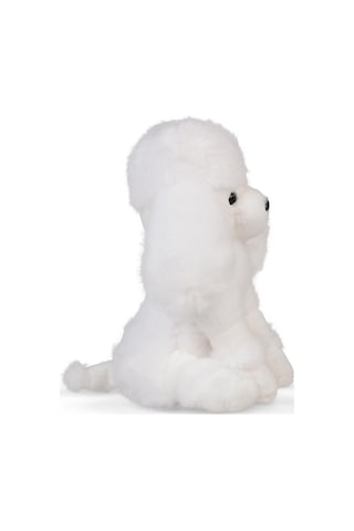 Can Oyuncak Peluş Beyaz Kaniş - Standart