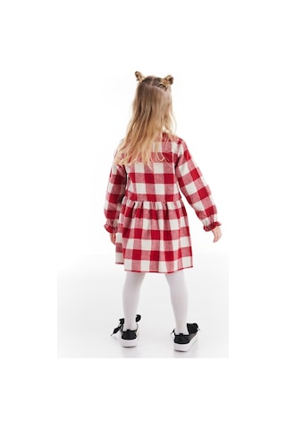 Denokids Siyah Tavşan Ekose Kız Çocuk Elbise Çok Renkli