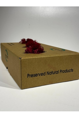 Reindermoss Şoklanmış Norveç Yosunu Terarium Yosunu Fushia 500 Gr.