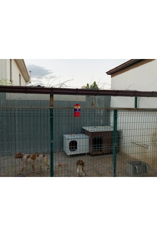 2 X FLY JAIL | LONG JAR, 1.5 LİTRE KAVANOZ TİPİ KARASİNEK TUZAĞ