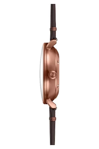 Sternglas Naos Xl S02-nx42-vı17 Otomatik Erkek Kol Saati Bronz