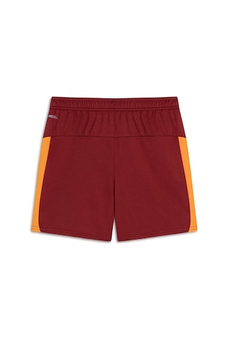 Puma Galatasaray Şort Çocuk Şort Kırmızı