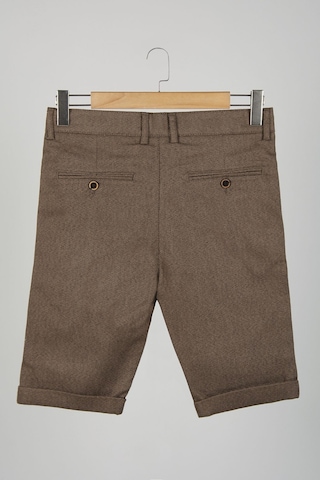Terapi Men Erkek Koyu Kahverengi Slim Fit Keten Şort Çokrenkli