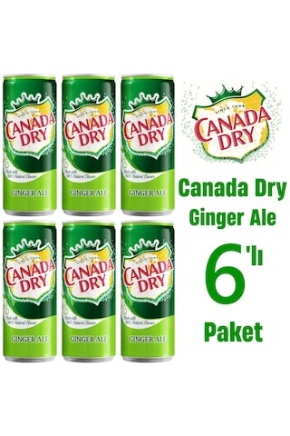 Canada Dry Ginger Ale 6 x 330 ML