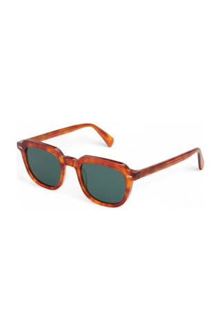 Gast Dail Classic Havana Unisex Güneş Gözlüğü Leopar