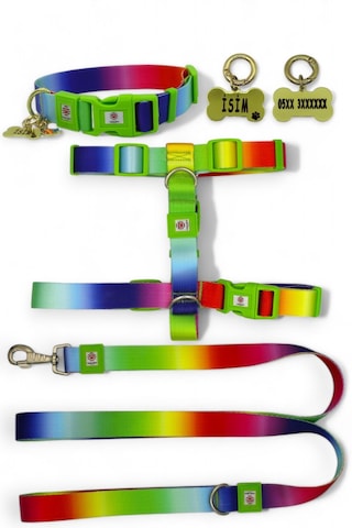 Caramelos Köpek Tasma Seti Kişiye Özel Künyeli İsimli Tasma Çkrnk Çok Renkli