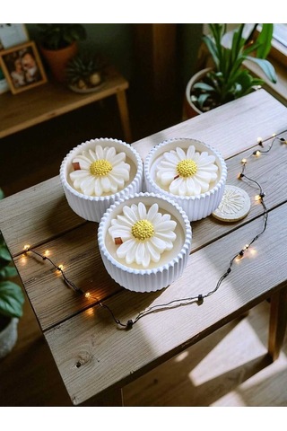Bernami Mum Pinterest 3'lü Papatya Mum Seti Diğer