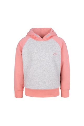 Brz Kids Kız Çocuk Kapüşonlu Sweatshirt Hoodie-gri Melanj Gri Melanj