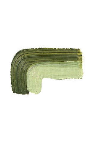 Schmincke : Akademie Yağlı Boya : 60 Ml : 504 Green Earth