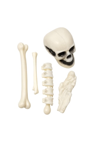 Halloween Cadılar Bayramı Mini İskelet Dekor Seti 5 Parça Kuru Kafa Ve Kemik Süs