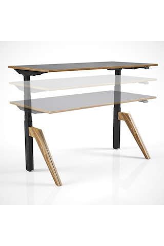 Regula Desk Dandy - Elektrikli Yükseklik Ayarlı Çalışma Masası, Sıradışı Tasarım, Çift Motorlu, Bluetooth Ko Çok Renkli