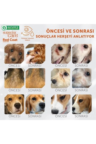 Superior Care Kızıl/kahverengi Tüylü Köpekler İçin Tahılsız Somonlu Küçük Irk Yavru Köpek Maması 1,5 Kg