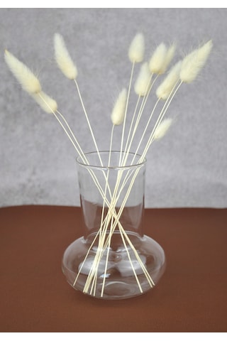 Mantar Cam Vazo 12 Cm- 1 Adet