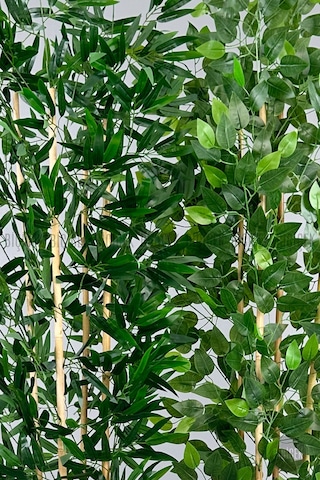 Biçiçek Yapay Bambu Ve Benjamin 4 Dal Yoğun Yapraklı 180 Cm Lilyum Saksıda