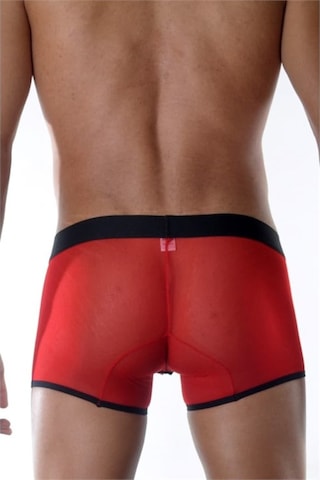 Terry Pau Don Moris Kırmızı Erkek Boxer (Dm111893)