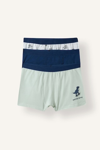 Defacto Dinozor Baskılı Penye 3lü Boxer Erkek Çocuk I4097a826auwt34 Beyaz-wt34