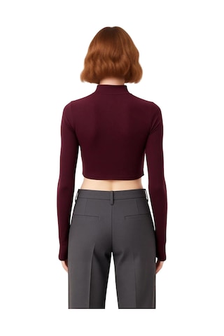 Frm Kadın Fermuarlı Dik Yaka Örme Crop Üst Kaliteli Şık Rahat Modern bordo