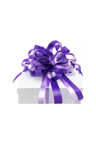 Riota 25 Cm Hediye Fiyonku 197281118