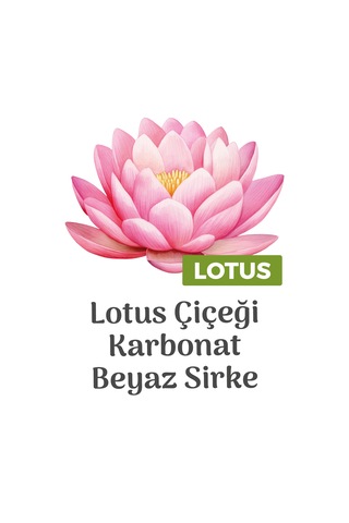 Paddlers Easy Clean Lotus Çiçeği Arap Sabunu ve Beyaz Sabun Katkılı Yüzey Temizlik Havlusu 6x100 (600 Yaprak)