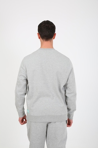 Esqudo Snowboard Erkek Sweatshirt ESWTP0006  Gri XL