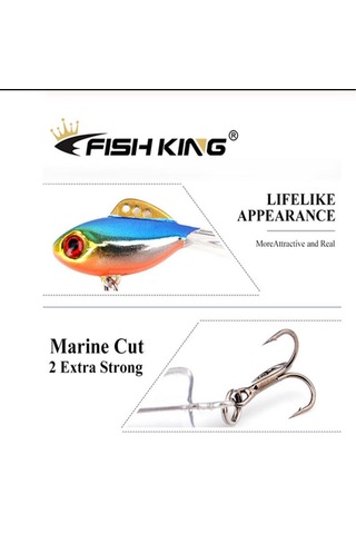 Balık Kral Kış Buz Balıkçılık Cazibesi Dengeleyici 3d Gözler Jig Yem Sert Cazibesi Jig Dengeleyiciler Balıkçılık Yem Levrek Ve Pike Yakalamak İçin 006-65mm-17g