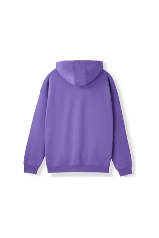 Gsstore Galatasaray Erkek Yarım Zip Hoodie E252107 Mor