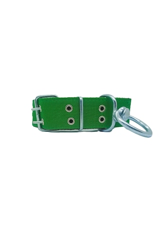 İri Ve Büyük Cinsler İçin Kanğal Köpek Tasması 80x5 Cm Yeşil